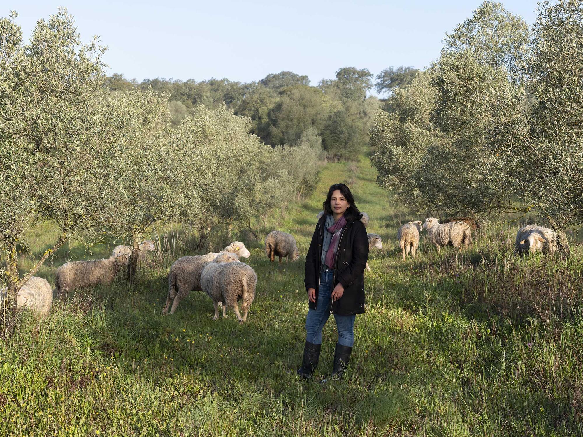 Olivares Alentejo - 1